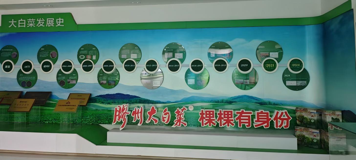青岛乡里乡亲|胶州大白菜品牌文化展厅藏着千年故事