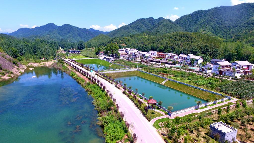 圖為南陽市西峽縣丁河鎮木寨村獼猴桃小鎮(無人機照片)。(受訪單位供圖)