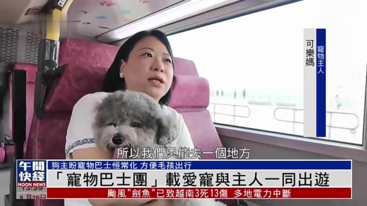 粤语报道｜香港“宠物巴士团”载爱宠与主人一同出游