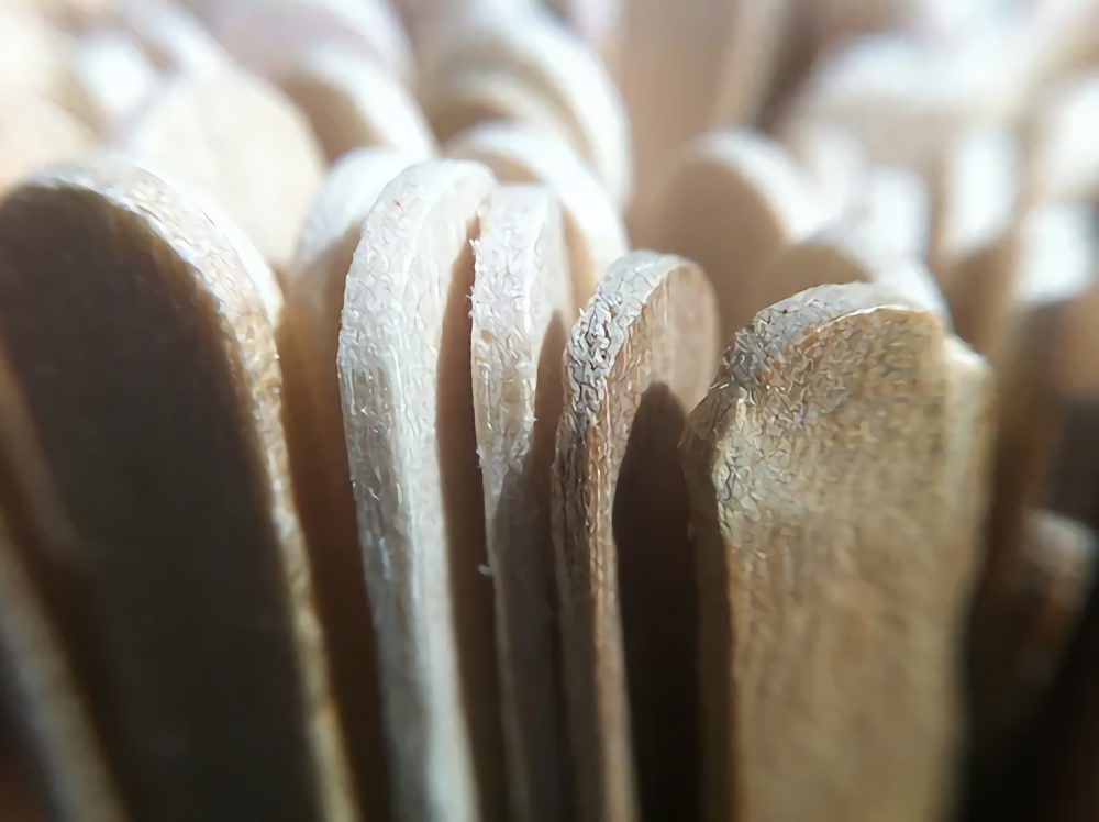 一线大厂整活!磁吸镜头要复兴?!