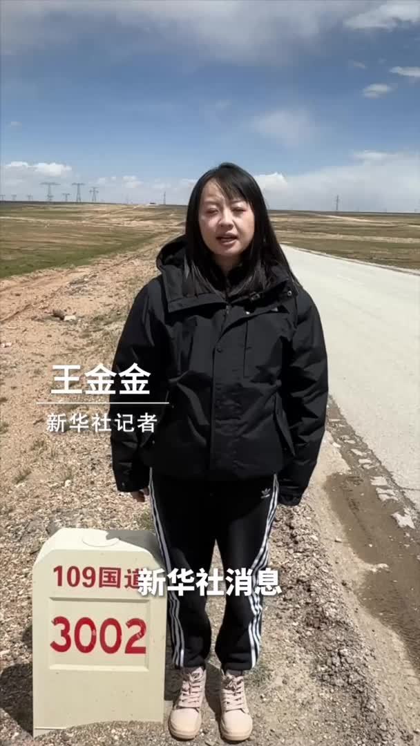 新华社消息｜可可西里藏羚羊迁徙产仔季进入尾声
