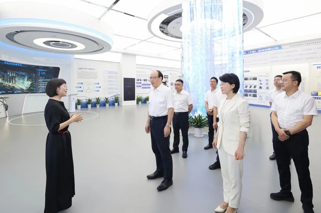 彭佳学在高新区民和数字产业基地考察。