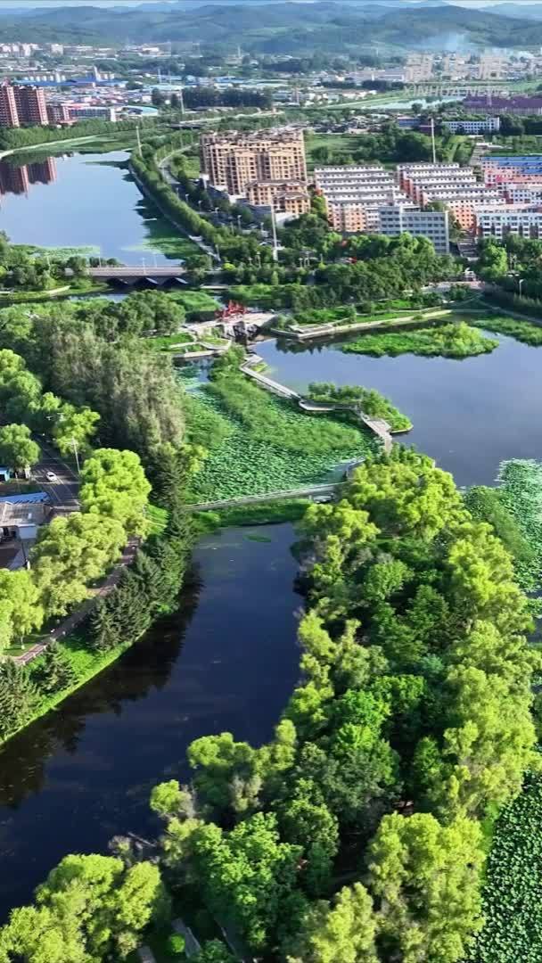 千城胜景｜吉林桦甸：满塘荷花别样红