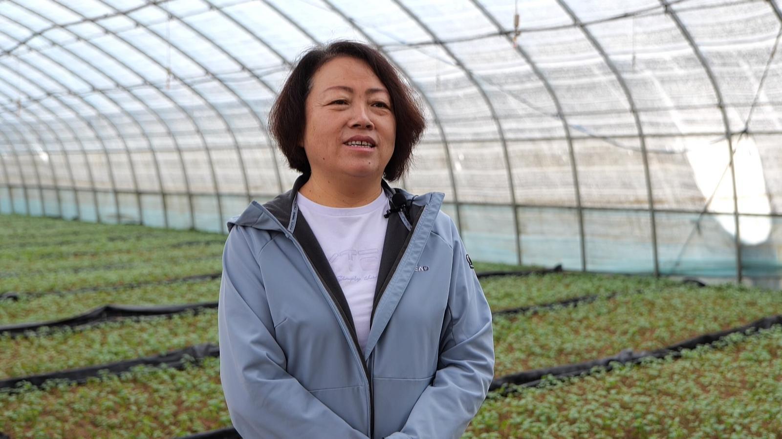 探访甘肃永昌智慧农业:AI大模型提供科学决策方案