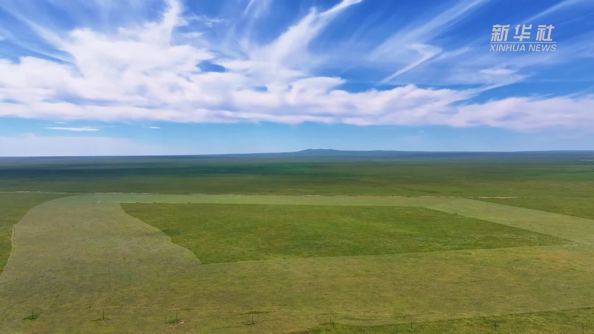 呼伦贝尔草原打草忙