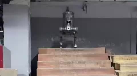 宇树机器狗250Kg负载复杂地形极限测试