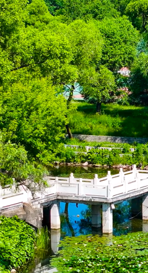 鹤岗机场启航：一座资源型城市的空中突围