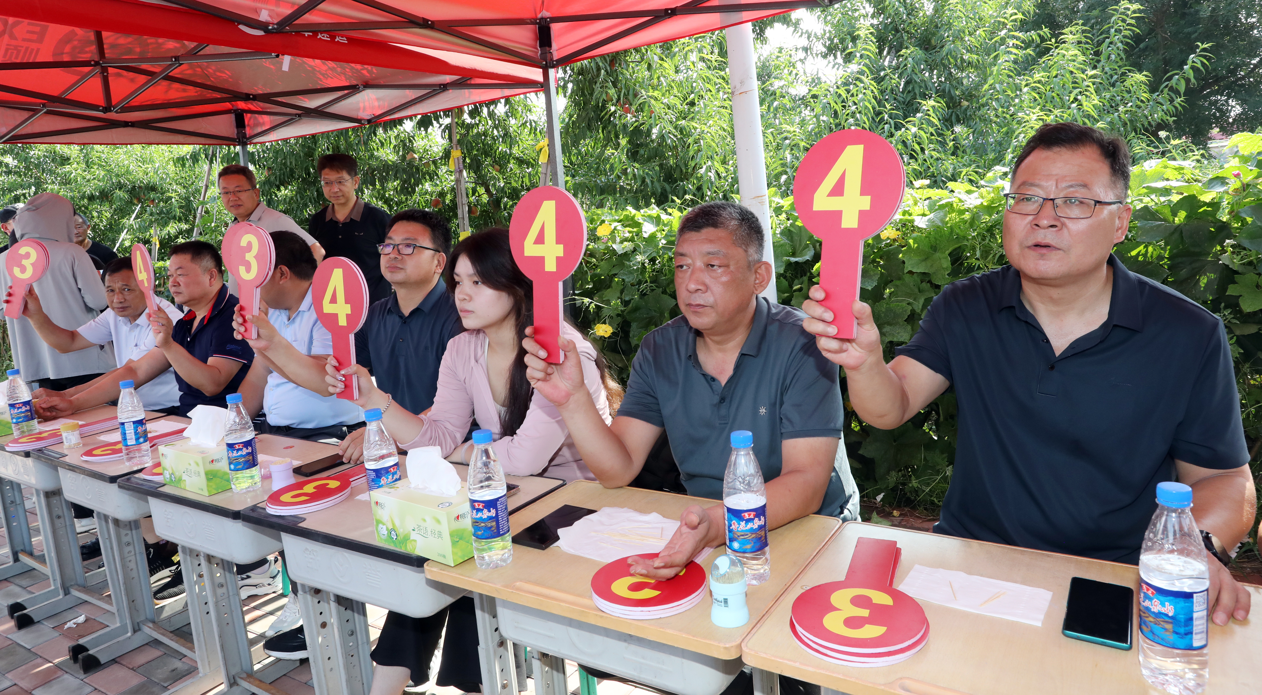 8月25日，在深州市穆村镇“桃王争霸赛”现场，评委现场打分。武志库 摄
