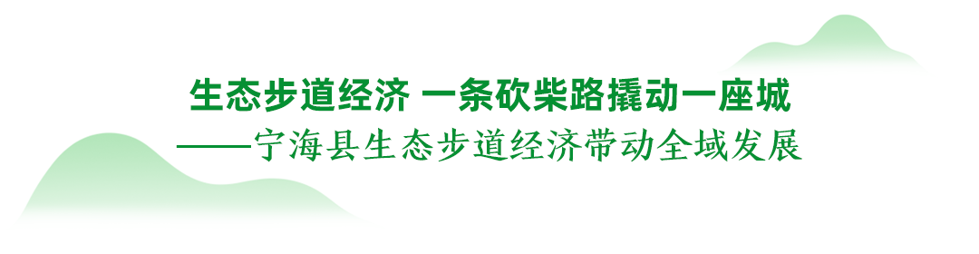 宁波十大“两山”实践典型案例丨宁海：生态步道经济 一条砍柴路撬动一座城