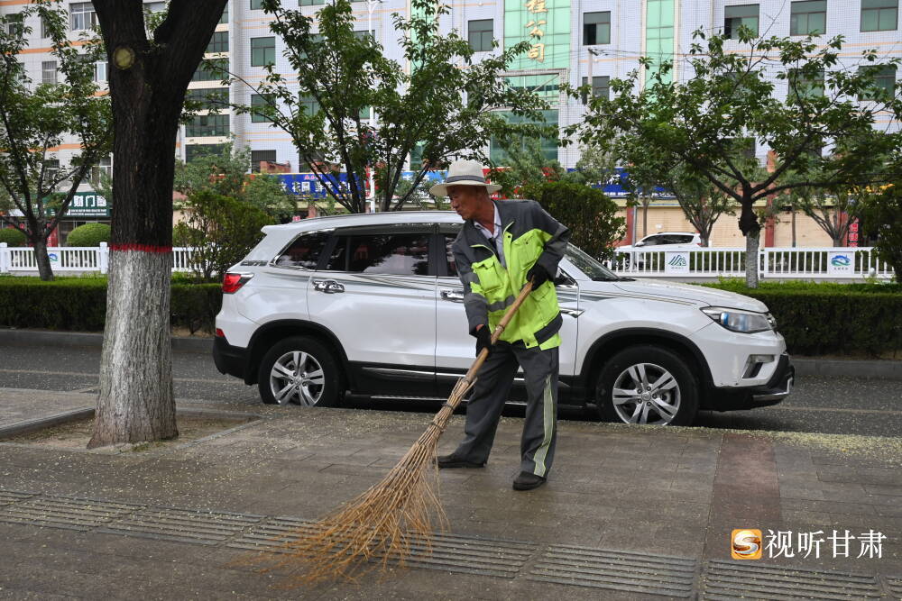 一阵“槐花雨”飘落　甘肃崆峒“美容师”忙起来了