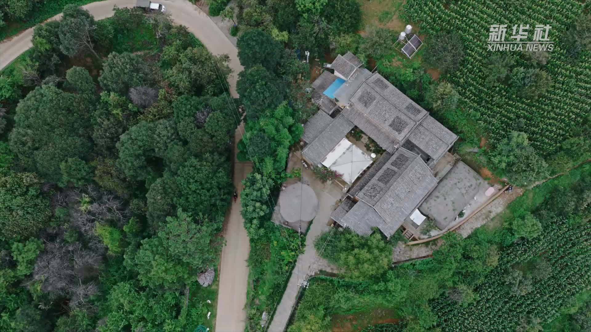 云南大理农民画社“老阿婆”们的色彩世界