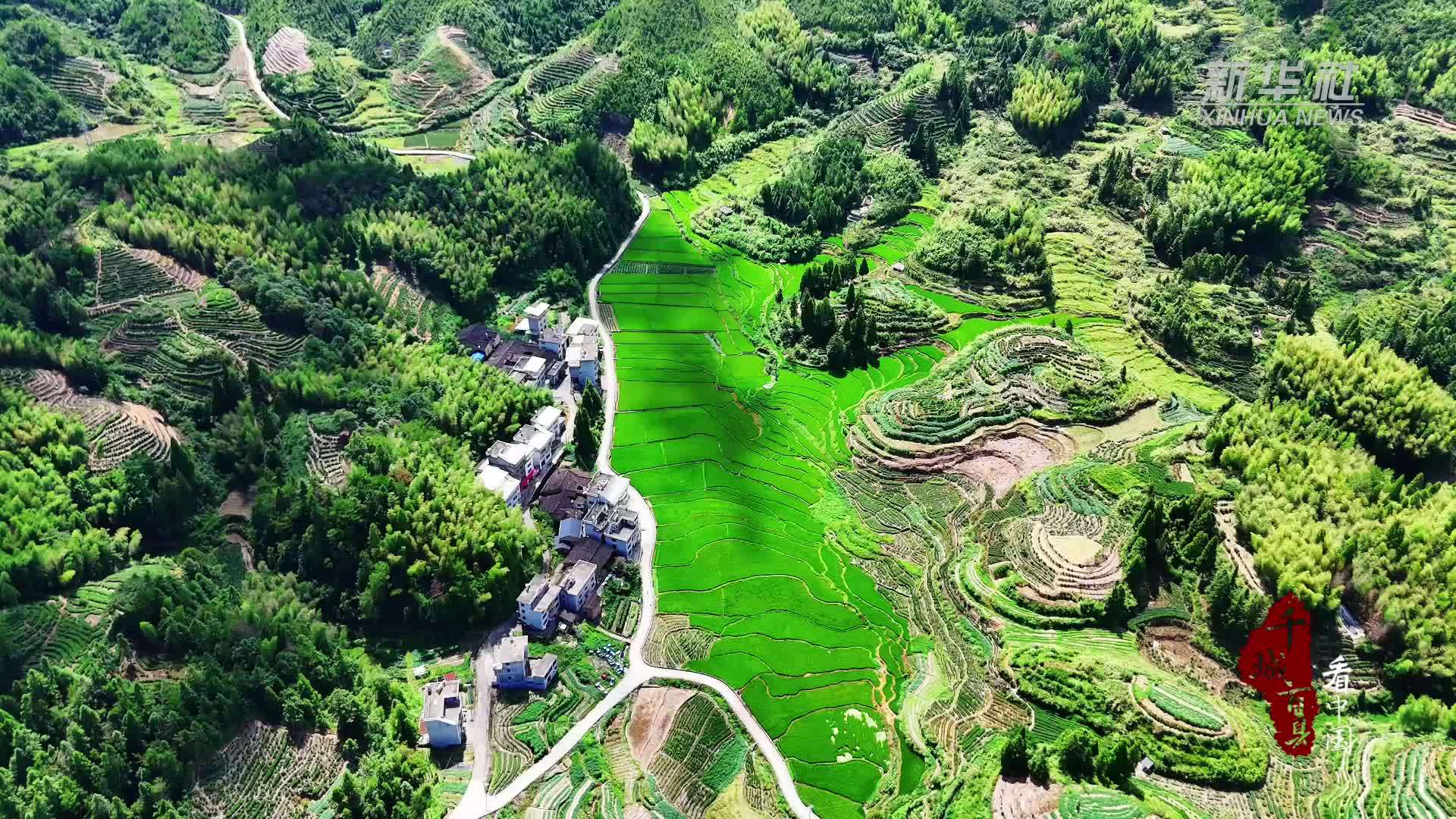 千城百县看中国｜福建寿宁：田园牧歌的诗意栖居