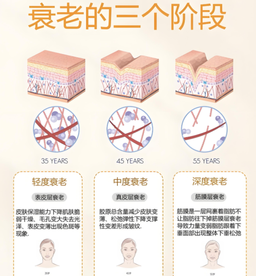 点击查看原始图片