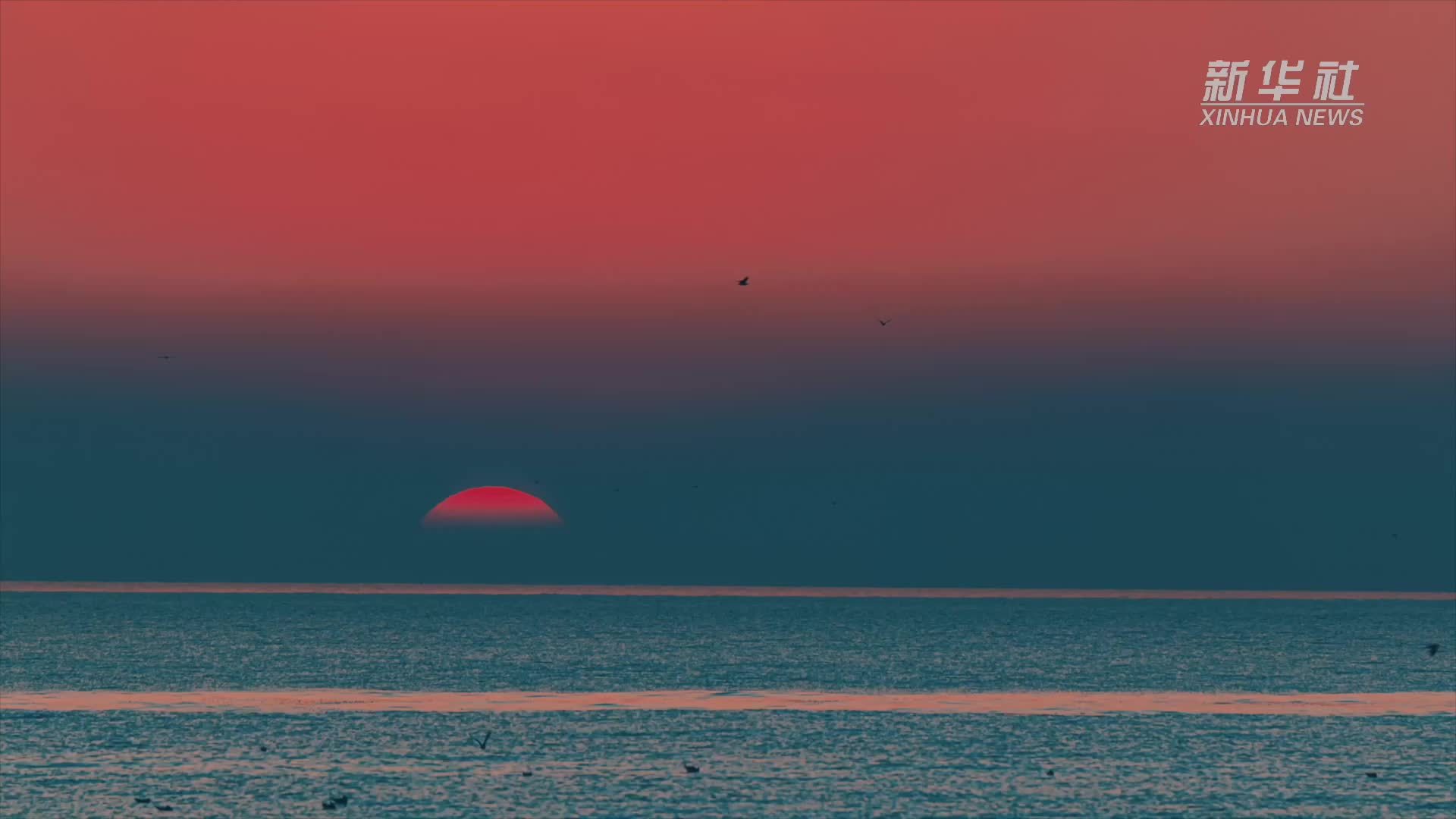 极速掠影｜60秒带你环游津门