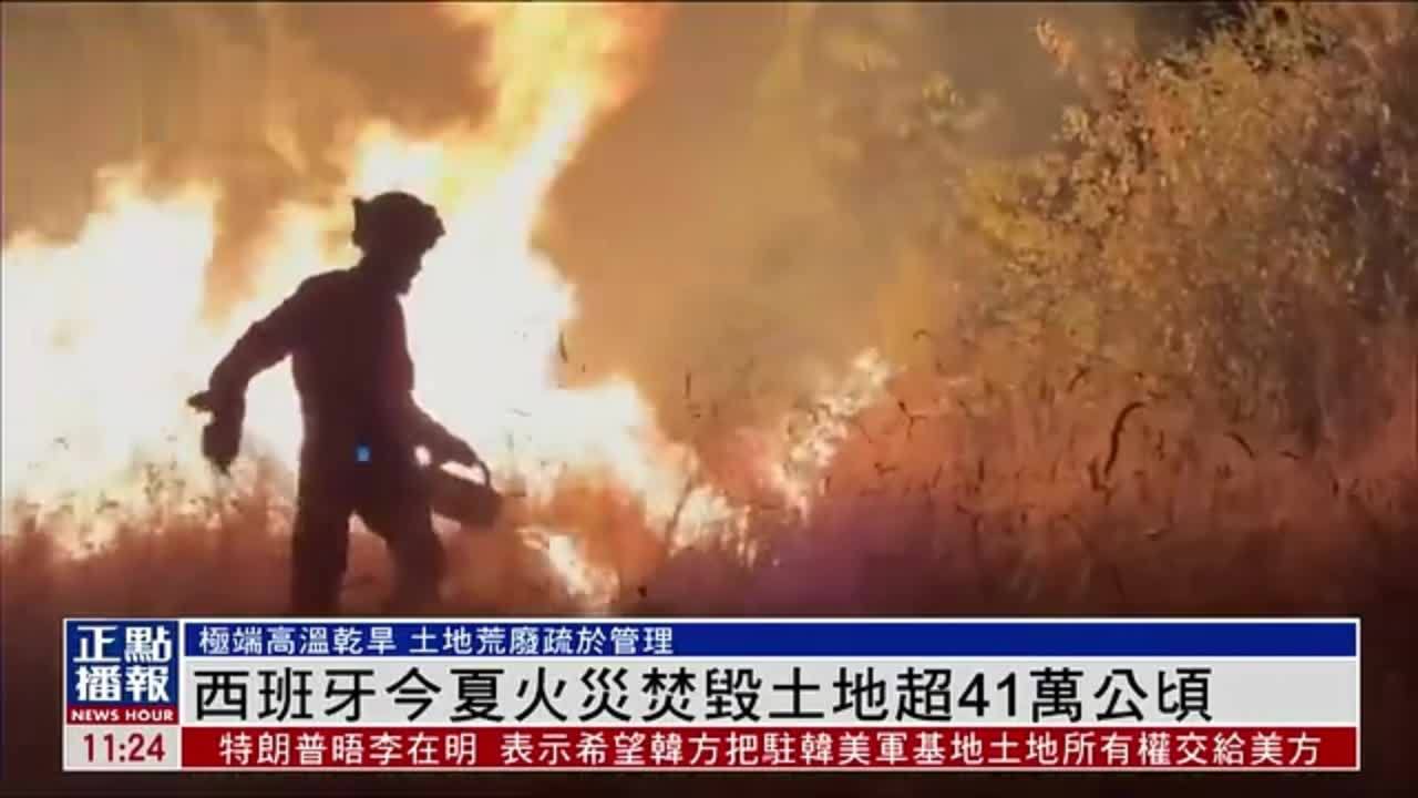 西班牙2025年夏火灾焚毁土地超41万公顷