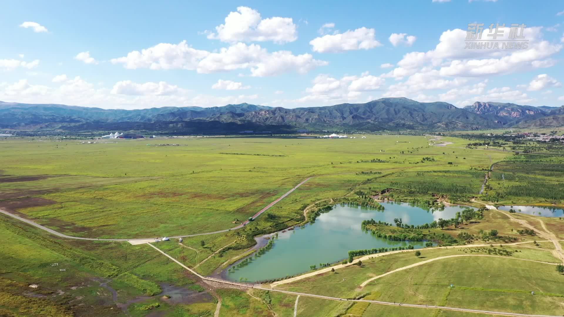 Vlog：中蒙博览会都有啥？