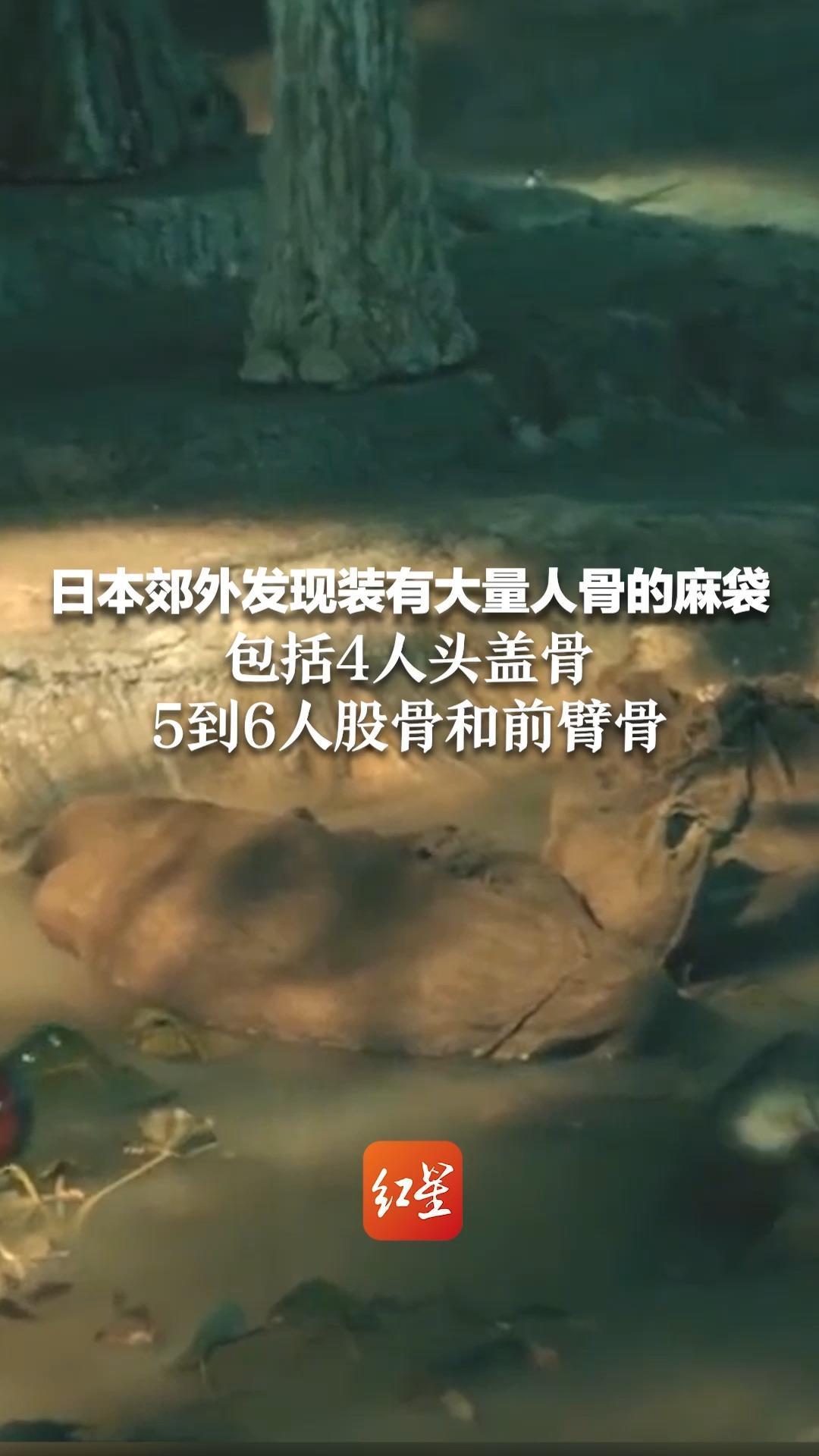 日本郊外发现装有大量人骨的麻袋，包括4人头盖骨，5到6人股骨和前臂骨，警方正DNA鉴定确认死者身份