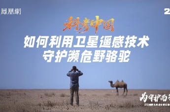 中国科学家如何利用卫星遥感技术守护濒危野骆驼