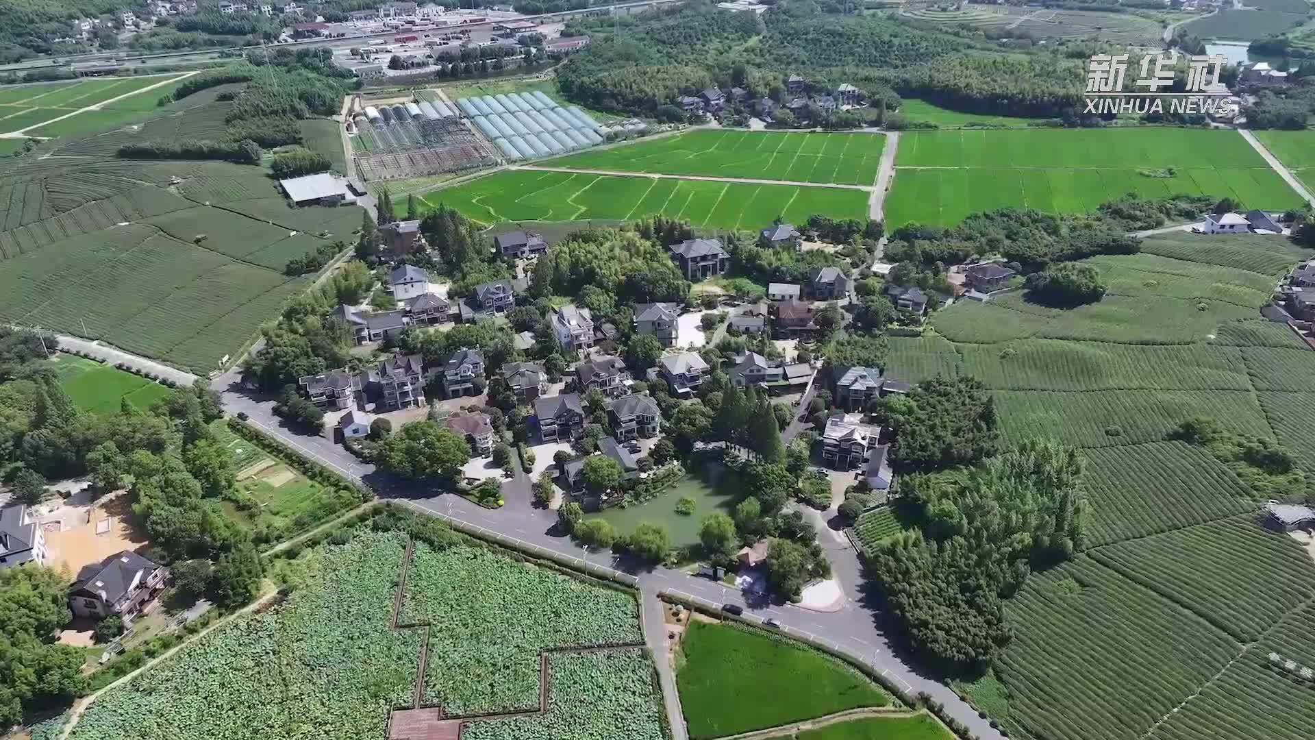 浙江杭州小古城村：未来乡村的低碳高品质生活