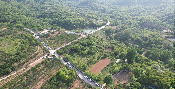 青岛乡里乡亲|樱桃好吃树难栽,悉心守护四十载杨玉梓:为了老树的那一串红果