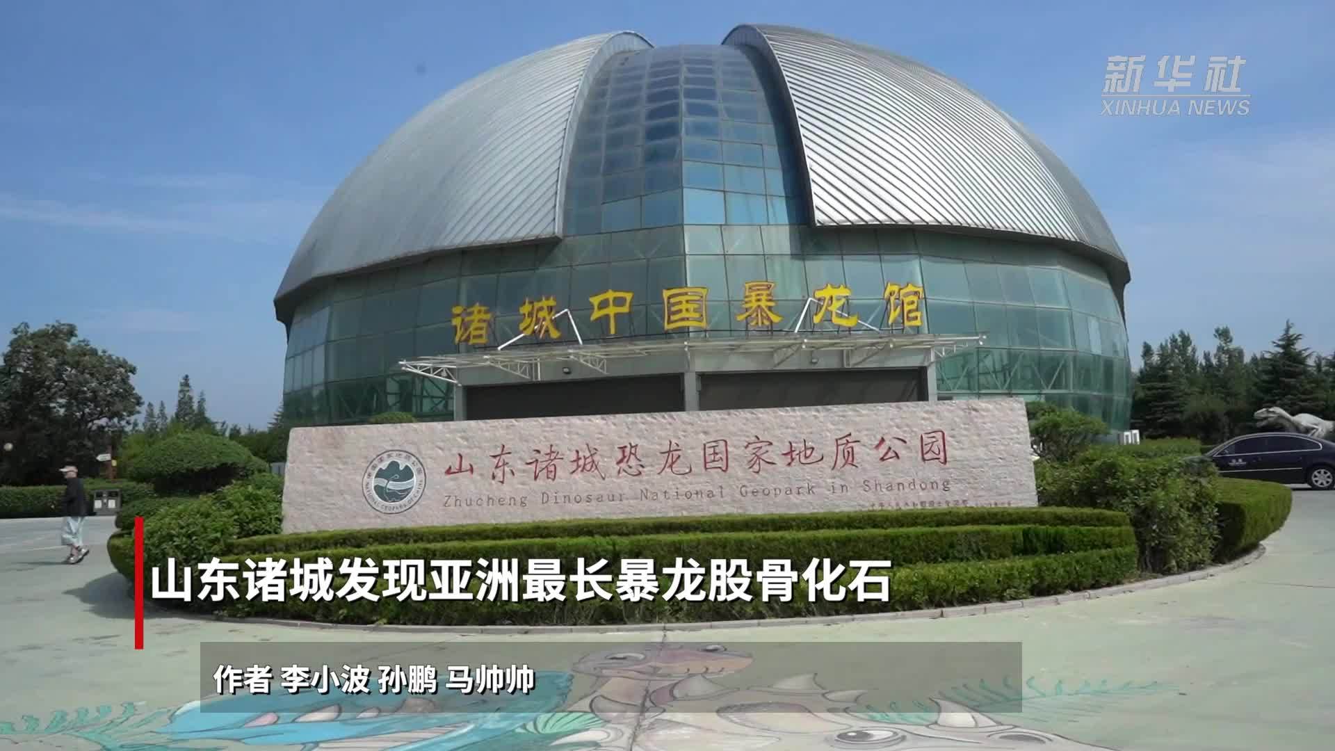 山东诸城发现亚洲最长暴龙股骨化石