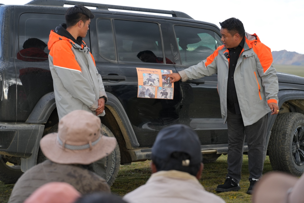 从深圳“拓荒牛”到西藏“牦牛险”:特区精神跨越山海,普惠温度守护高原