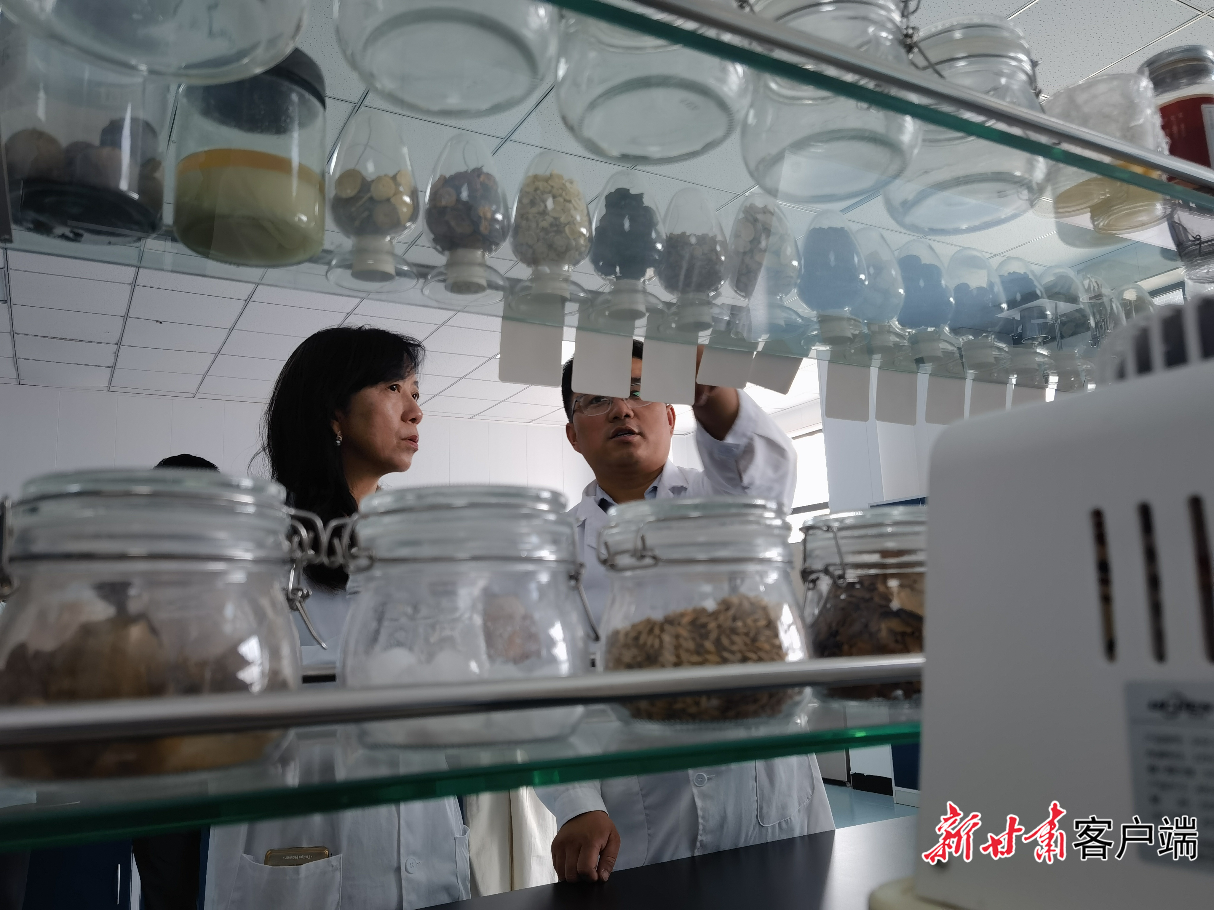 张珍（左）在专家院研发中心查看农产品原材料