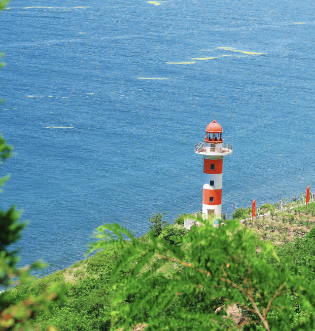 点击查看原始图片