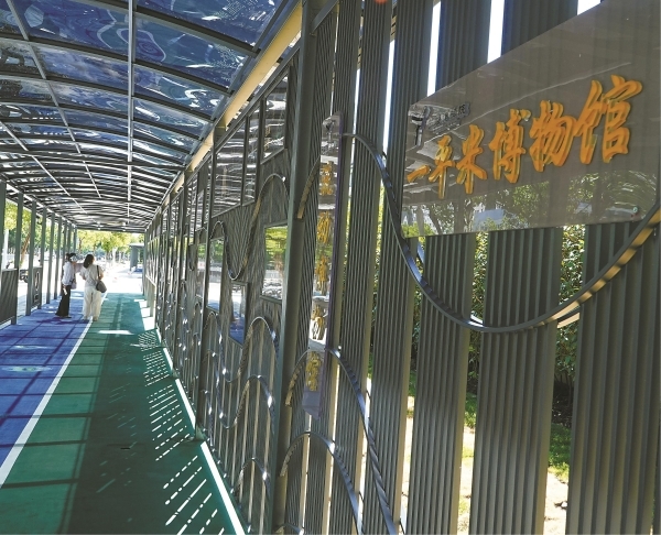 惠风书院“最美上学路”。