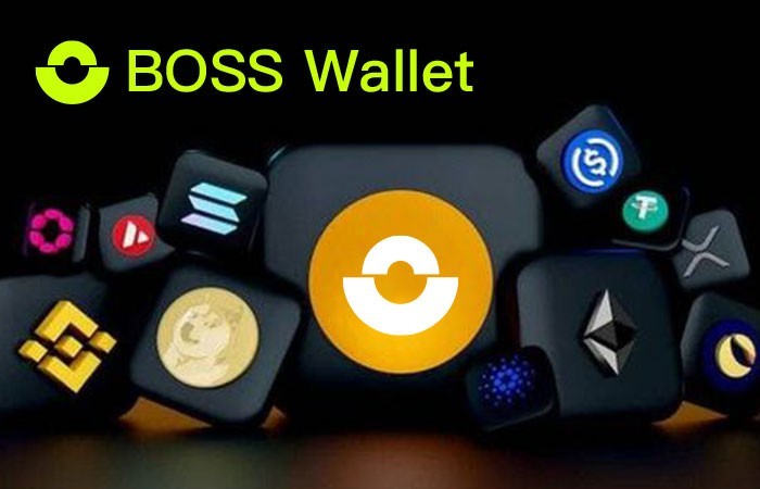 数字钱包新时代：BOSS Wallet以创新实力领航行业发展