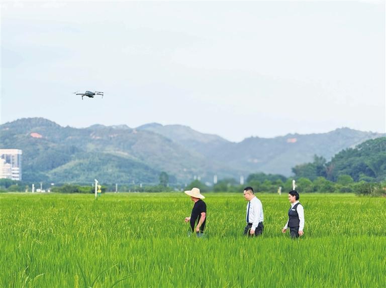低空经济在农业场景中的应用