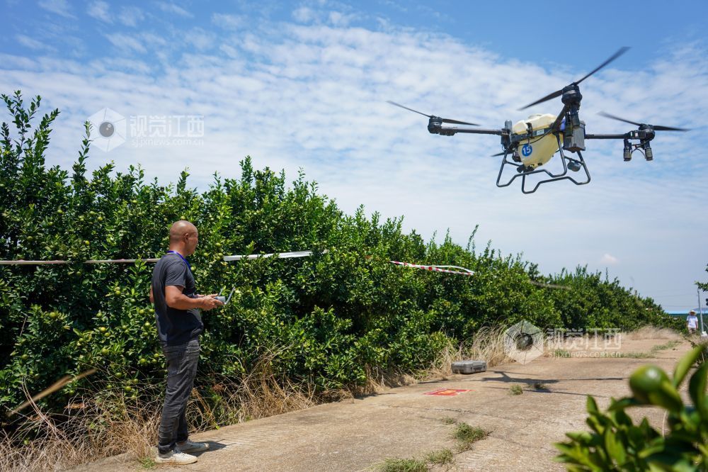 兴果富农（图）