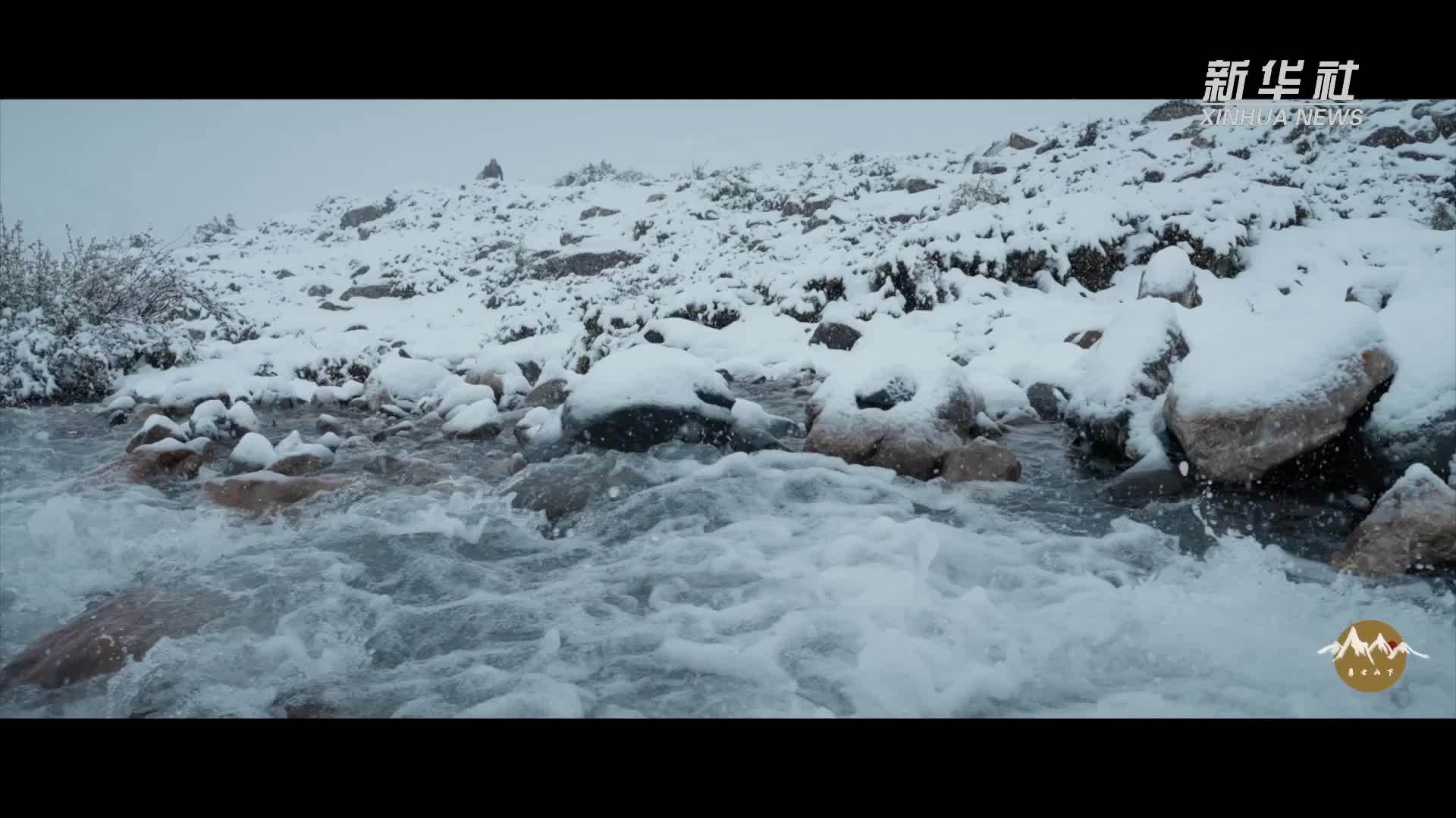 纪录片《勇士山下》｜守护冰川：西藏八宿志愿队的巡护之路