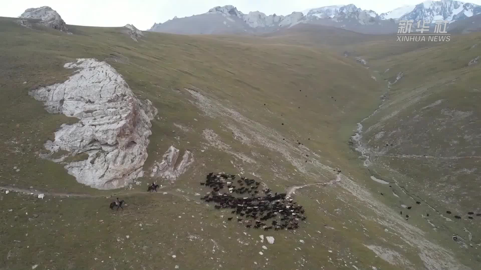 新疆阿合奇：民警护航牧民安全转场