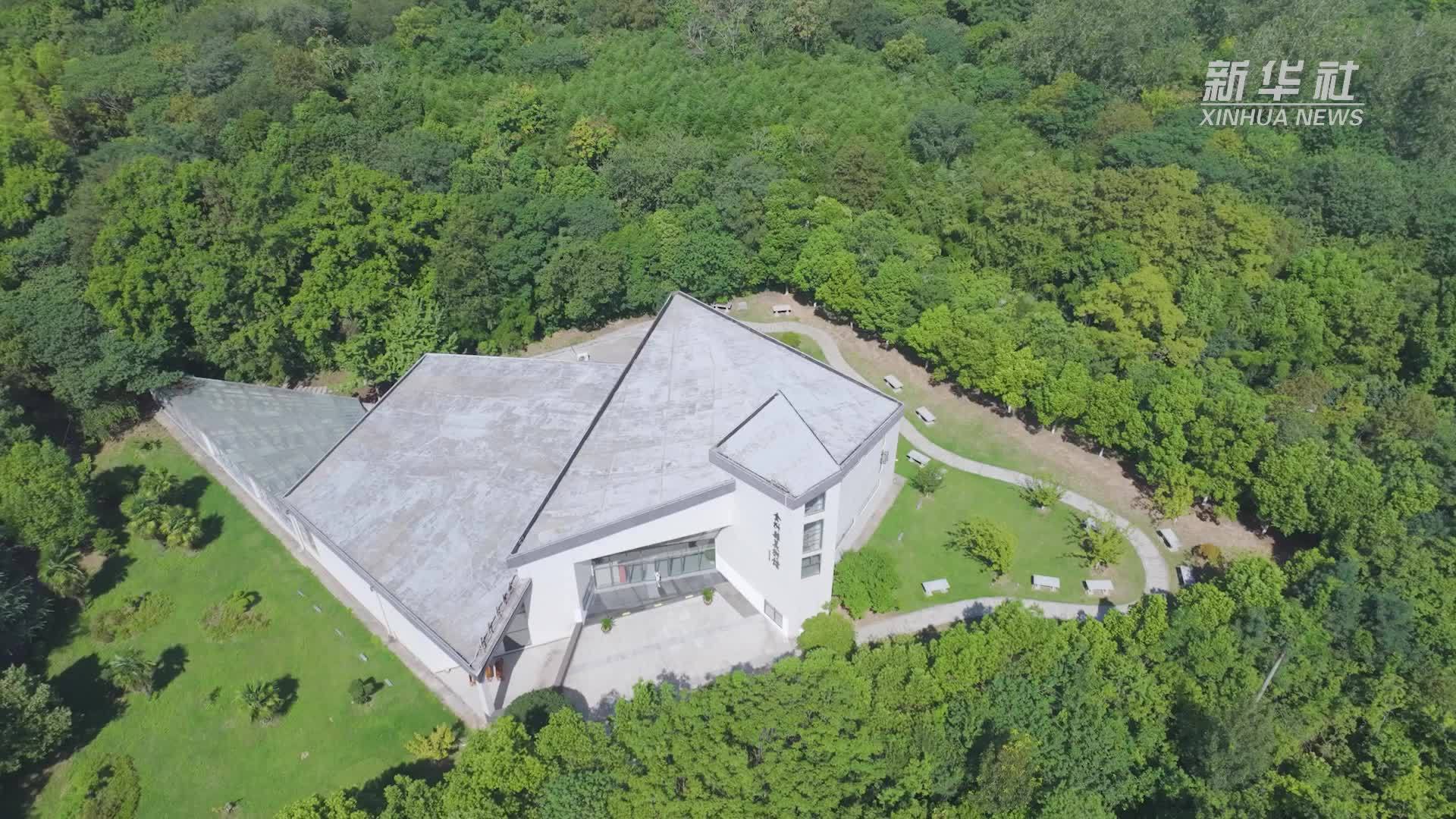 安徽全椒：森林里的“文化暑托班”