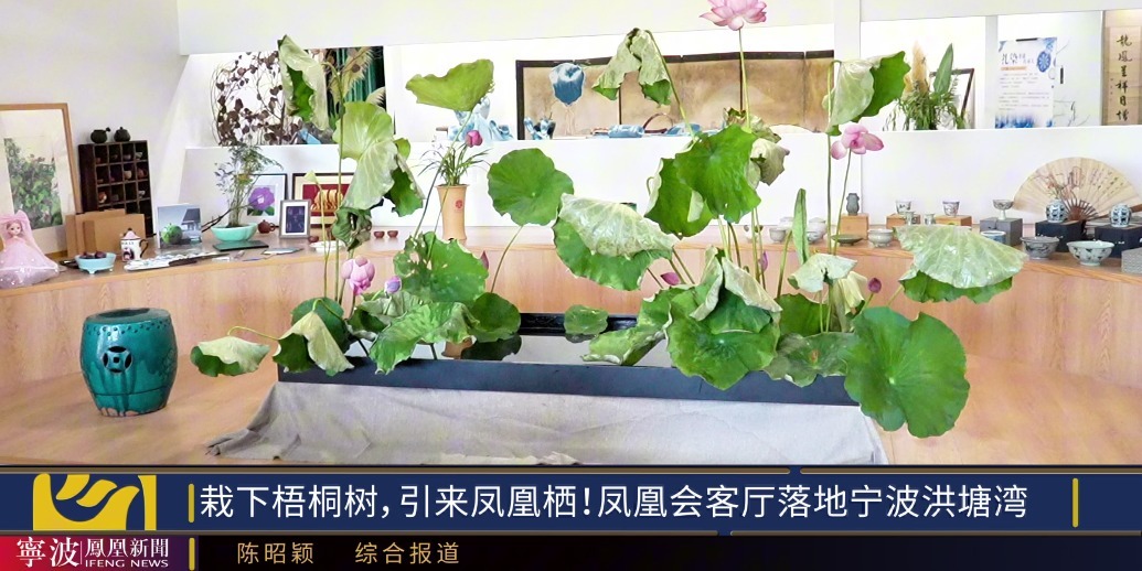 栽下梧桐树，引来凤凰栖！凤凰会客厅落地宁波洪塘湾