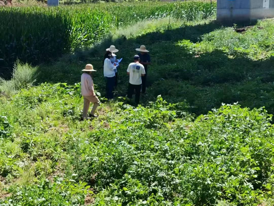 甘肃华亭严把药材验收关 惠农资金精准滴灌