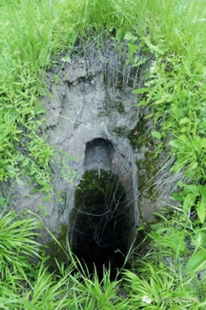 天官坟的盗洞(42834961)-20250825190511.jpg