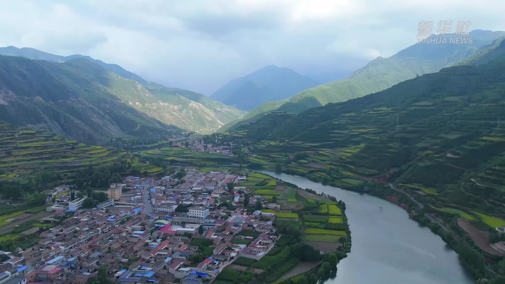 甘肃渭源：千亩柴胡种出致富路