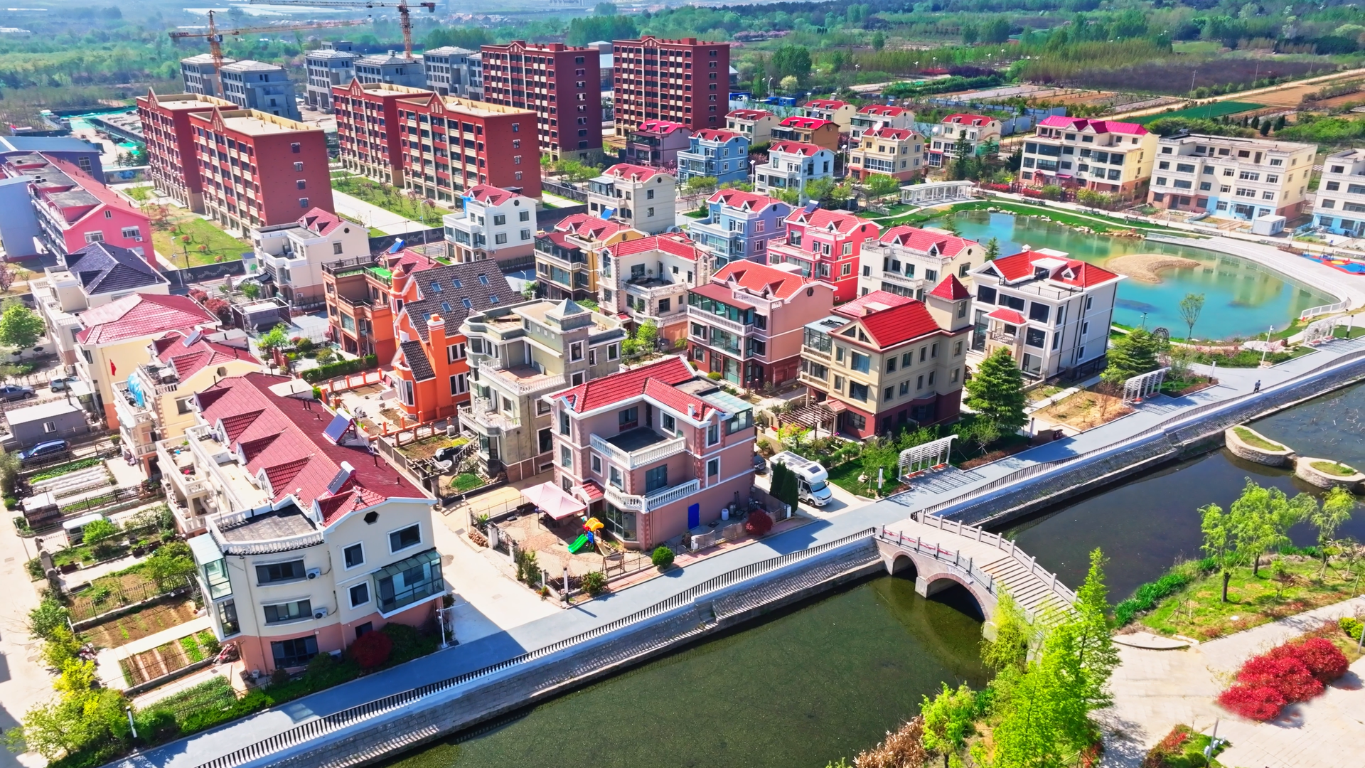 青岛乡里乡亲|文化“三乡”润沃野 和美达尼展新卷 张家楼街道深耕乡情乡风乡韵赋能乡村振兴