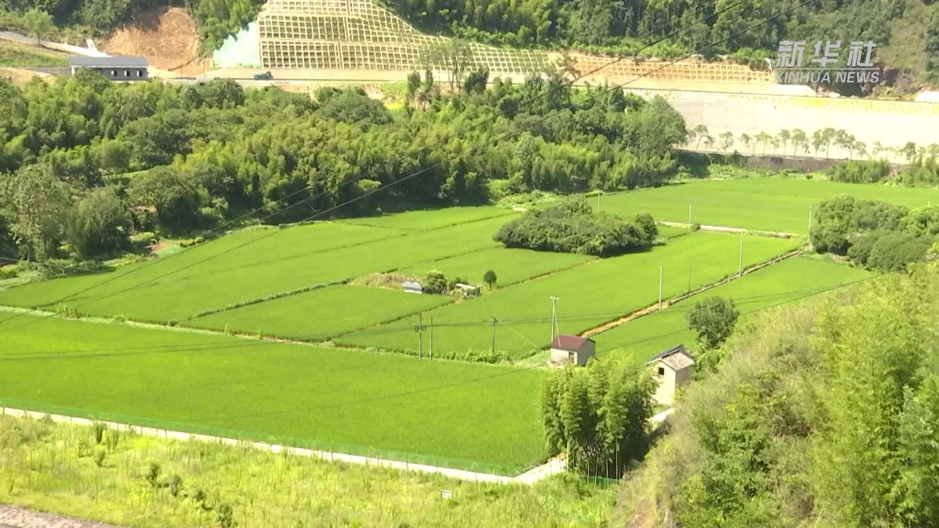 杭州桐庐：科技赋能 助力灌区节水增效