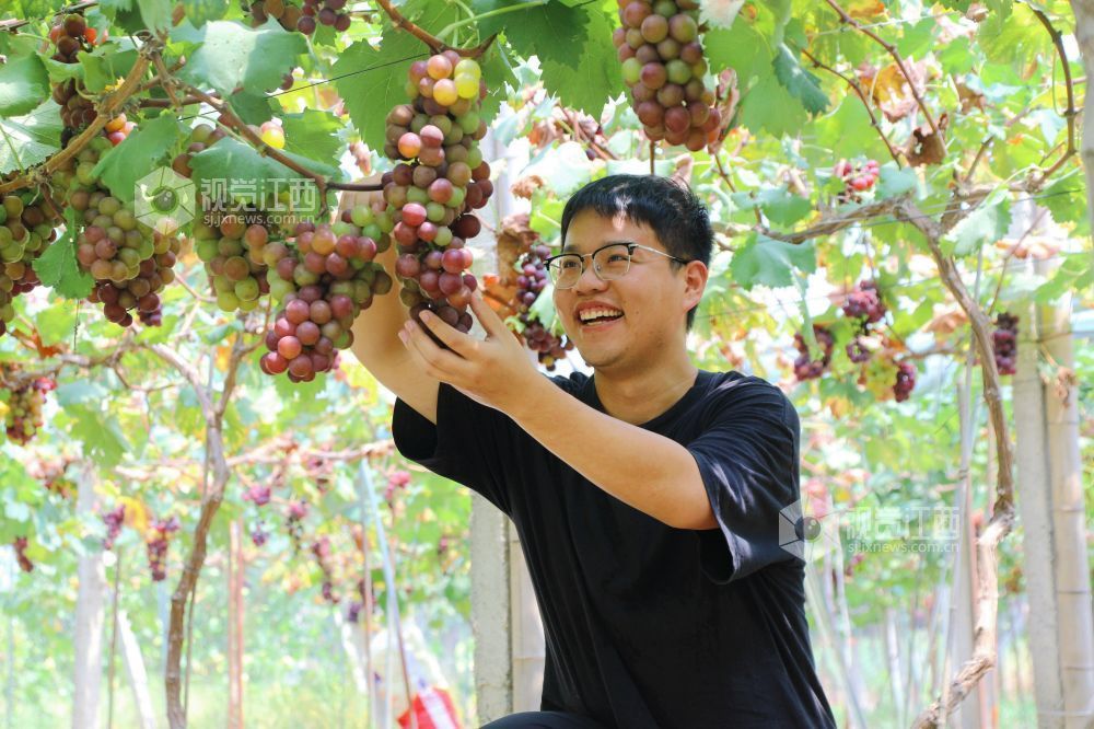 兴果富农（图）