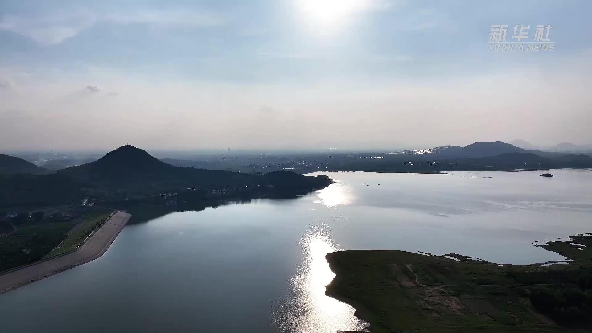 千城胜景｜山东枣庄：鹭舞长空绘黄河三角洲新图景