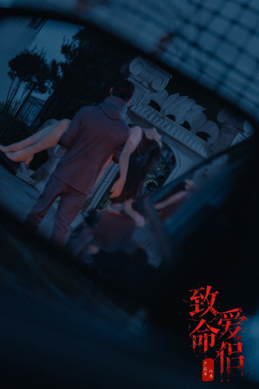 《致命爱侣》剧照