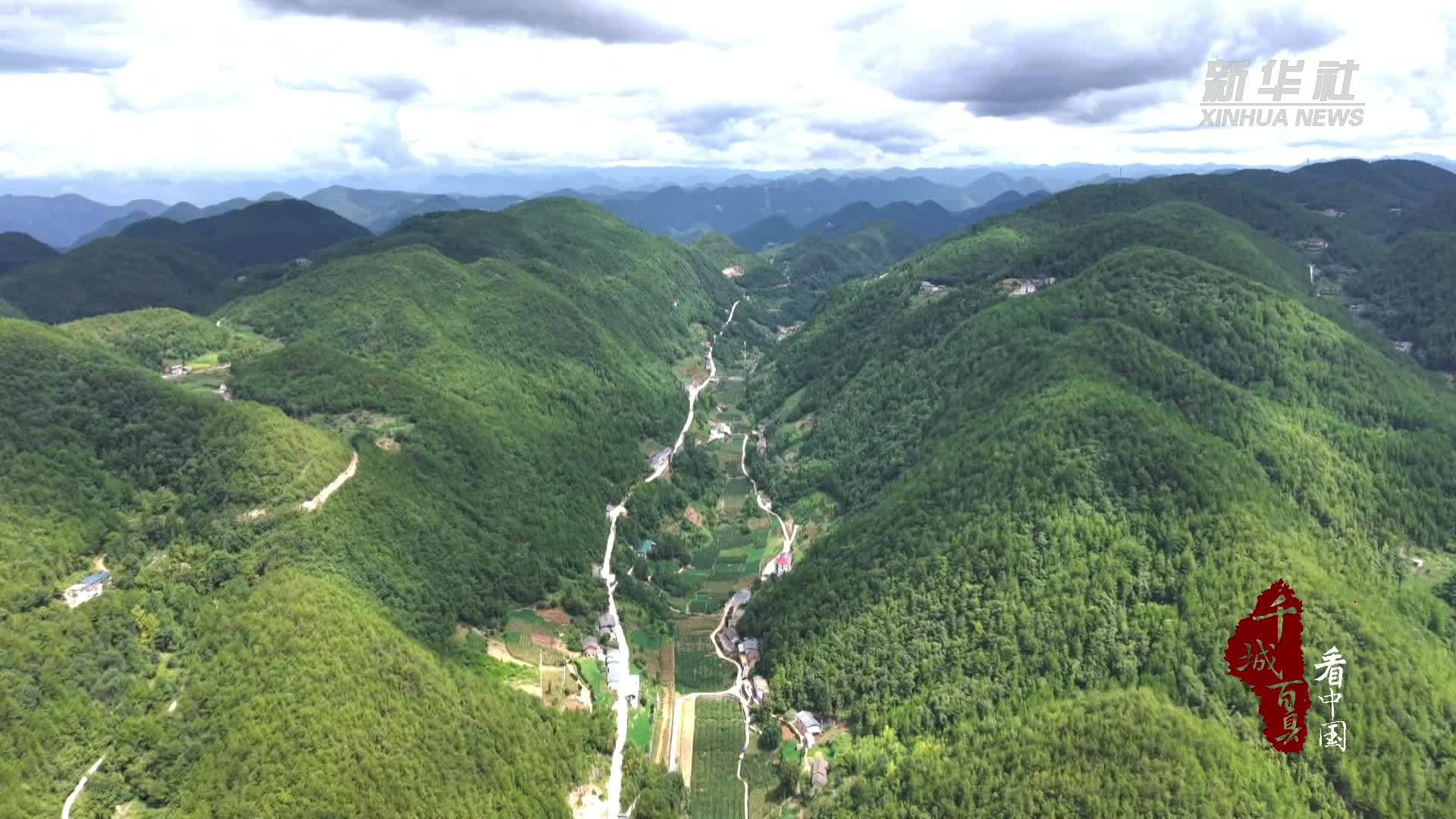 千城百县看中国｜湖北巴东：直播进梨园 黄金梨变身致富果