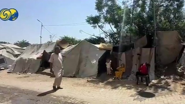 180万巴勒斯坦人被迫生活在加沙20%土地上，传染病蔓延无处安身