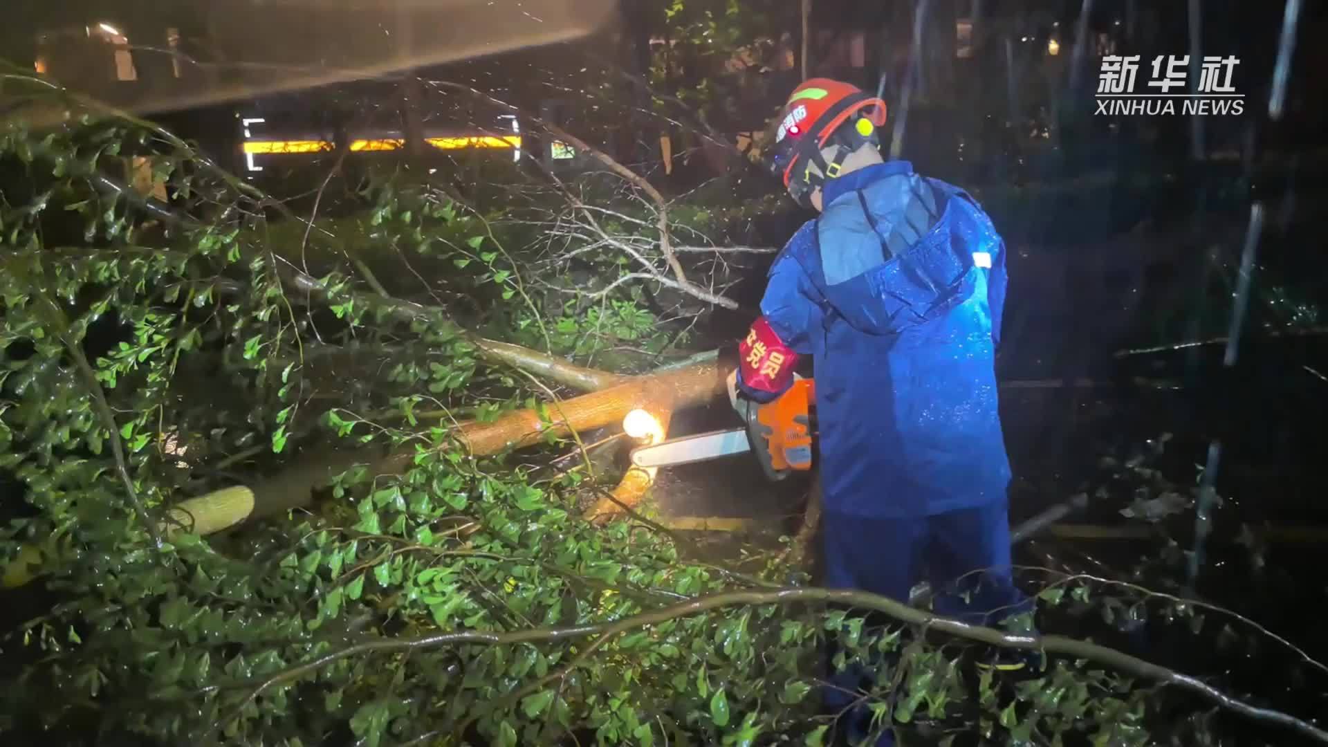 让鹿城尽早恢复如初——“剑鱼”台风后海南三亚救灾一线见闻