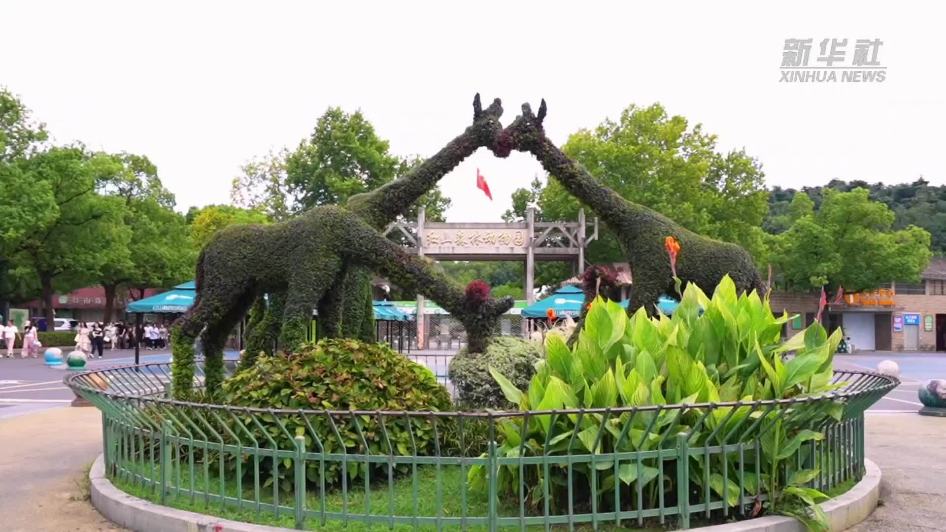 把课堂“搬进”自然！南京举办“生态文明第一课”