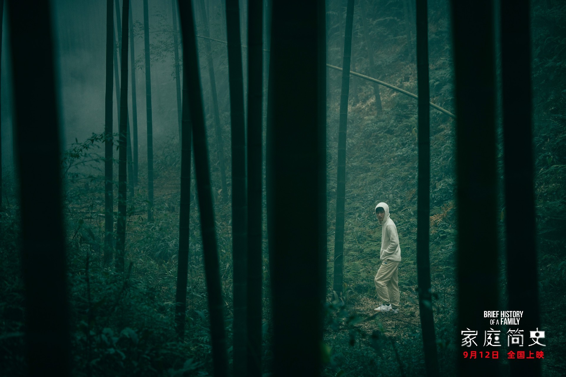 风格化悬疑片《家庭简史》定档9月12日 惊悚视角窥视家庭裂痕(图4)