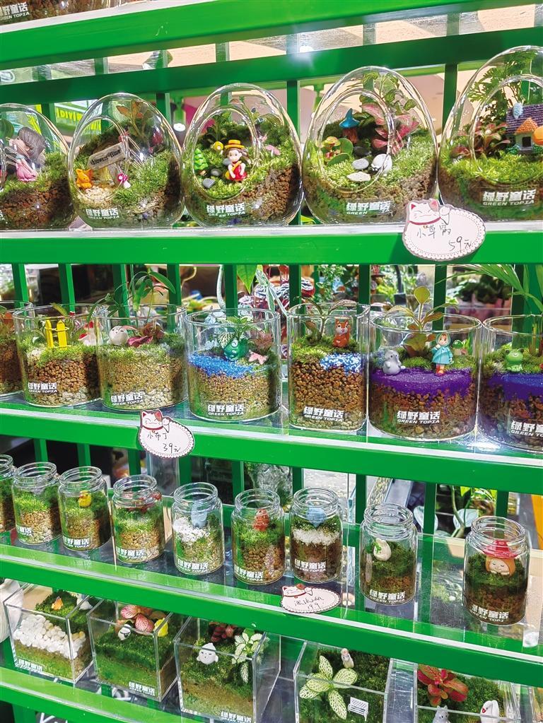 商场里售卖的桌面微景观摆台